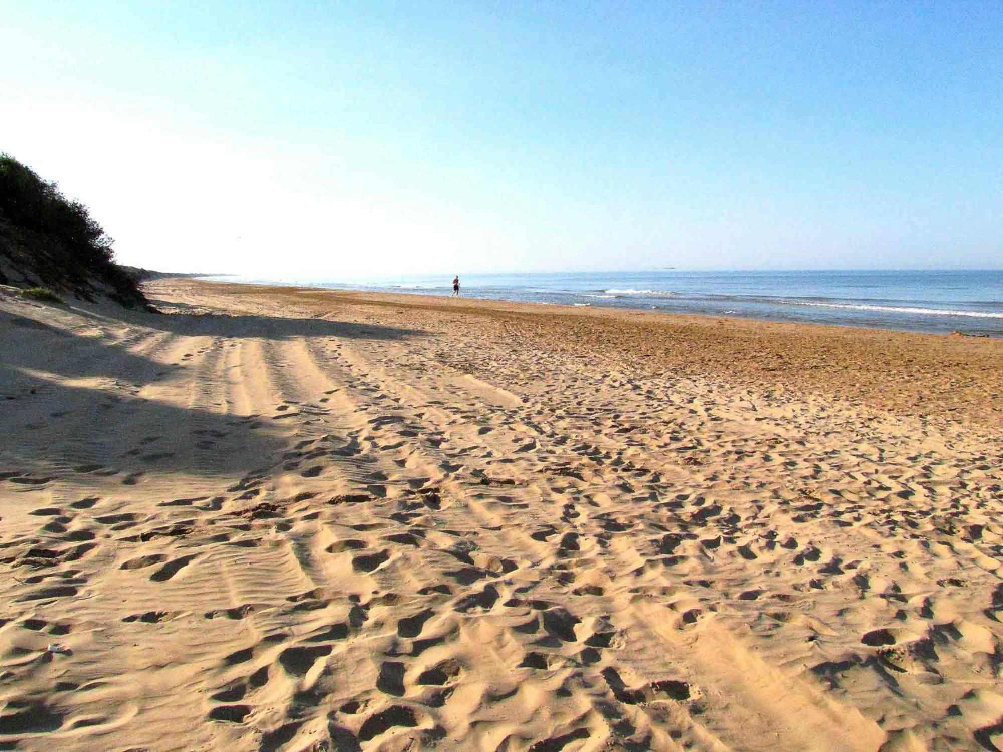 Villa Marina Few Mt From Sand Beach ปอซซัลโล ภายนอก รูปภาพ